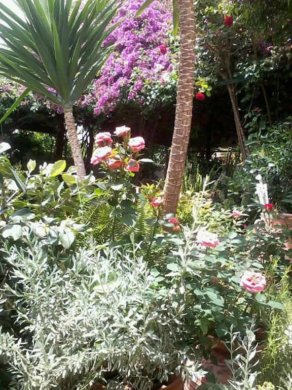Meliti Guesthouse Akrata Exterior photo